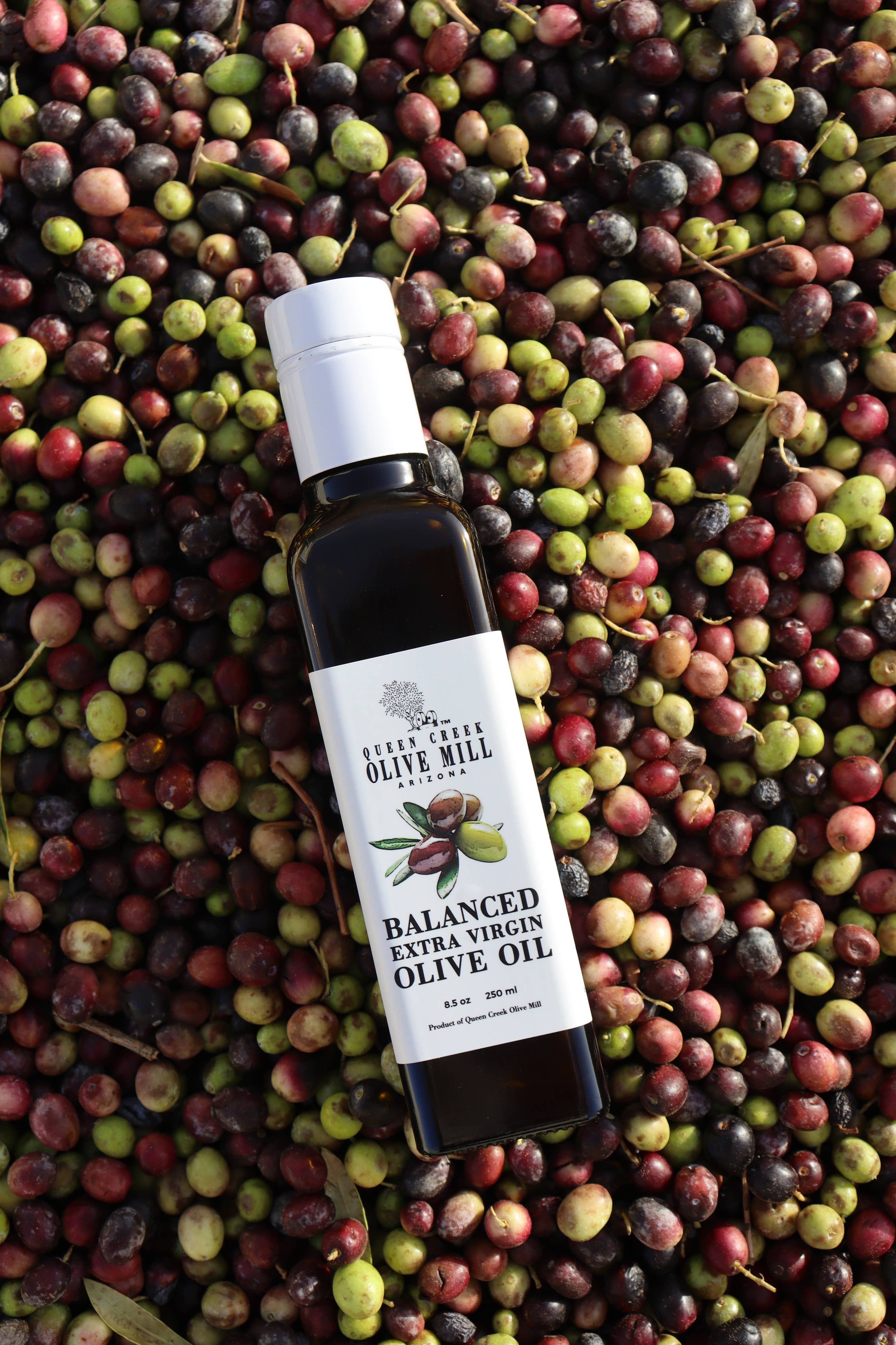 Olive Oil | Balanced Extra Virgin