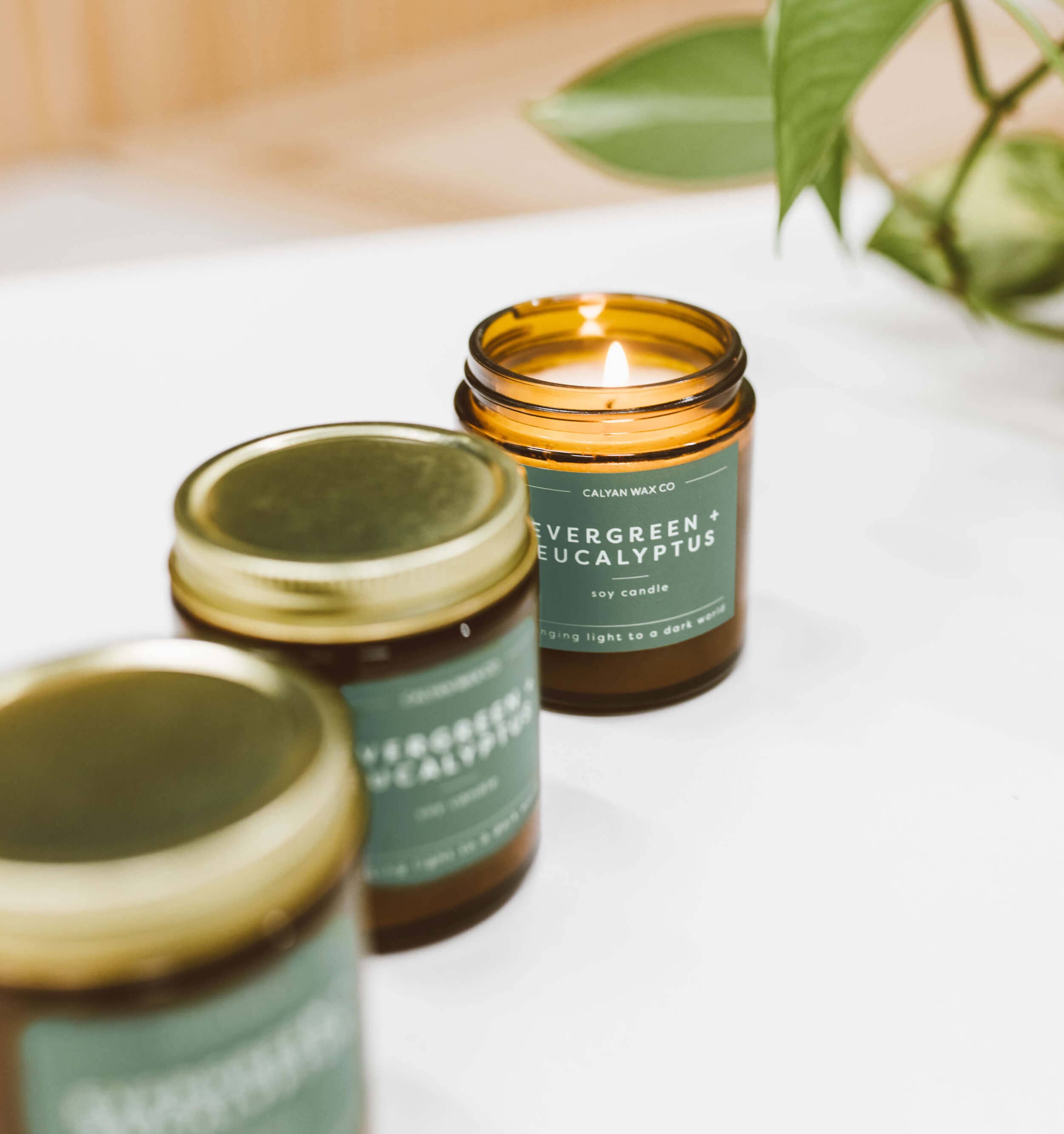 Soy Candle | Evergreen + Eucalyptus