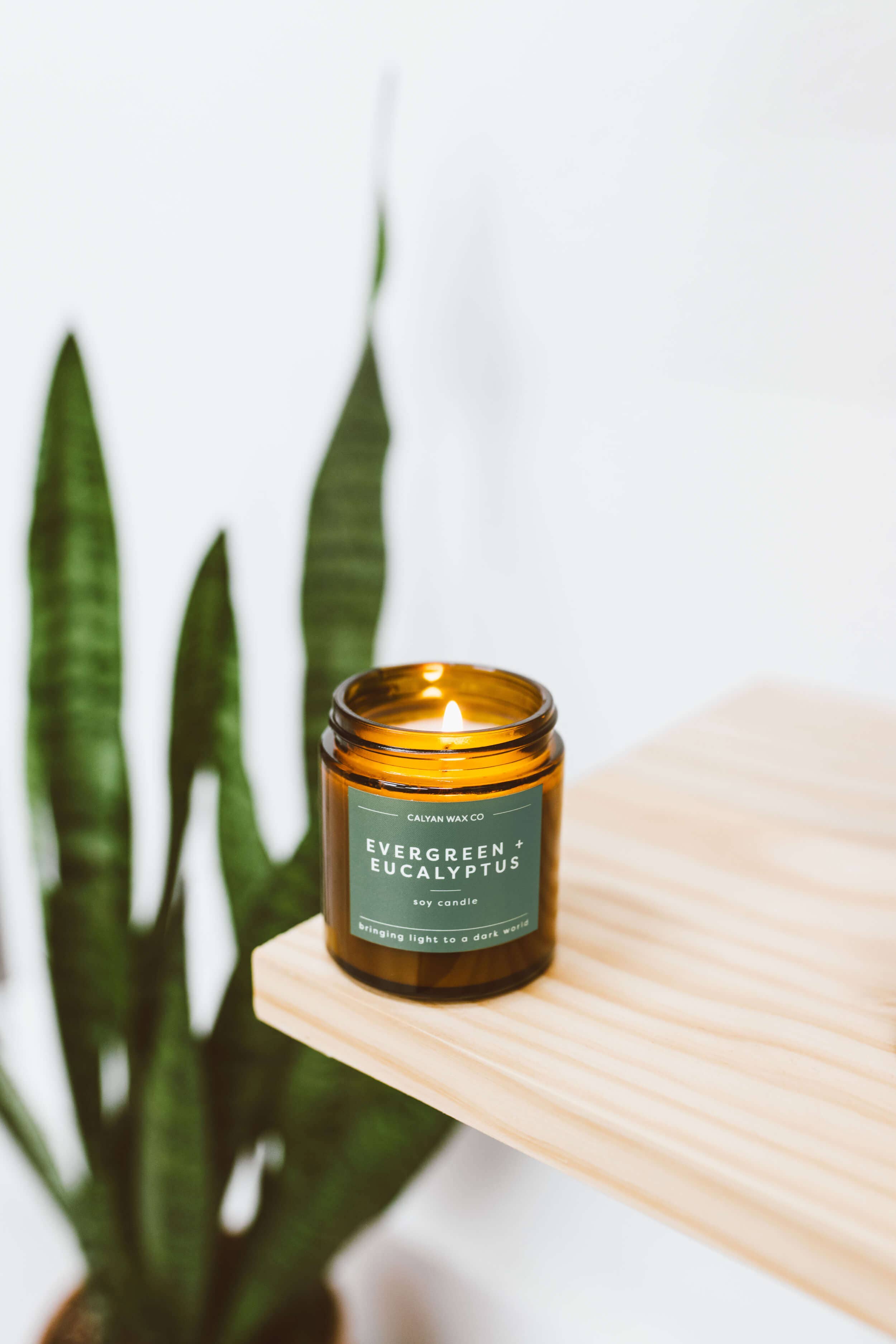 Soy Candle | Evergreen + Eucalyptus