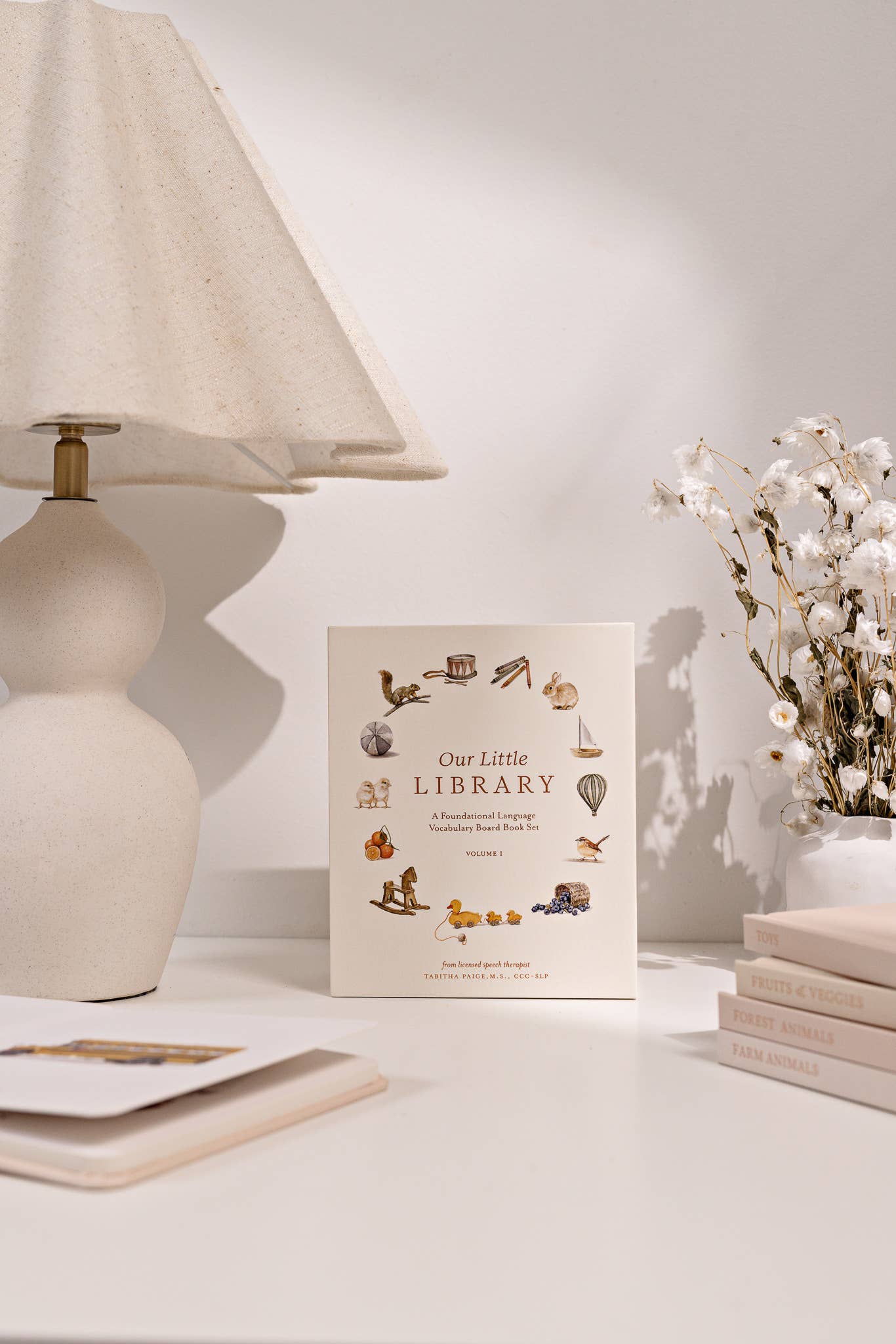 Book Set | Our Little Library