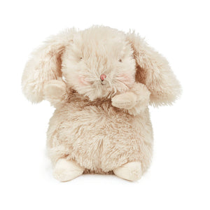 Stuffed Animal | Bunny